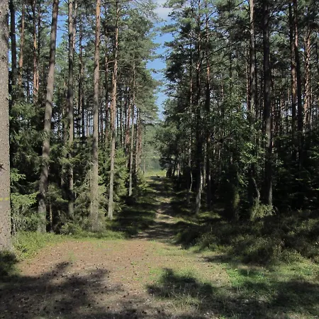 Smerfna