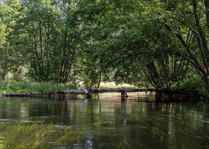 Smerfna Semesterbostad Wąglikowice