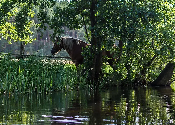 Smerfna * Wąglikowice